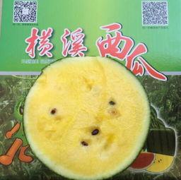 娱乐吃瓜图片图文素材高清