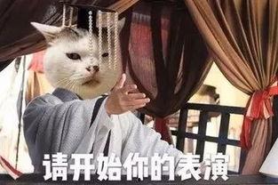 娱乐吃瓜酱戏精